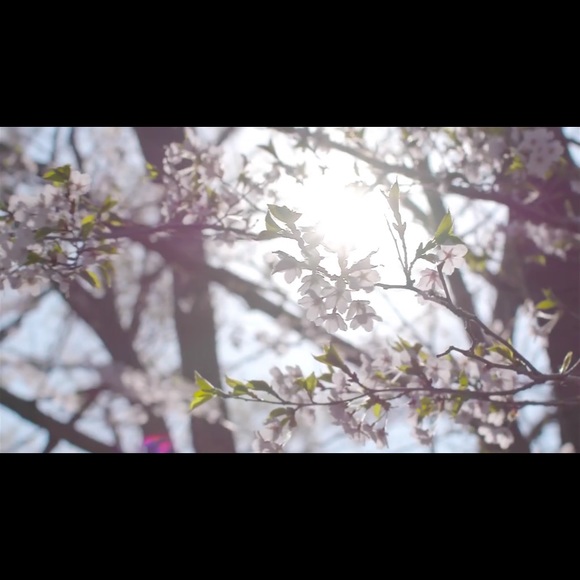 Meet your Posher, Sally - Picture 1 of 1